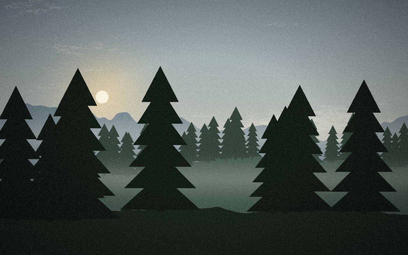 Bosque de pinos con niebla al amanecer